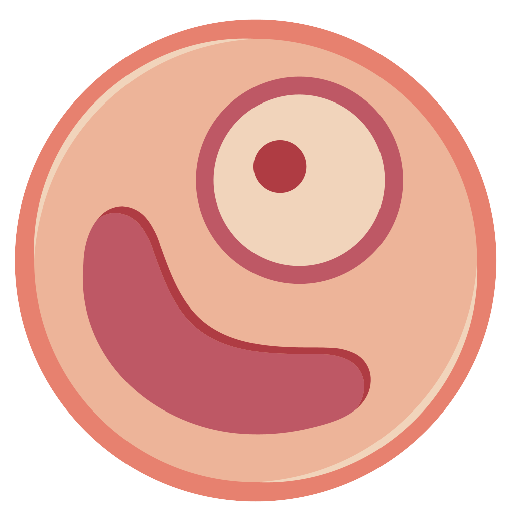 細胞相關素材(圖43)