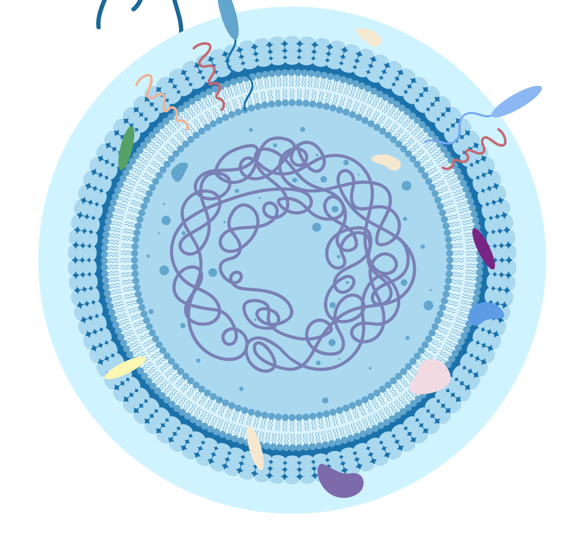 細胞相關素材(圖17)