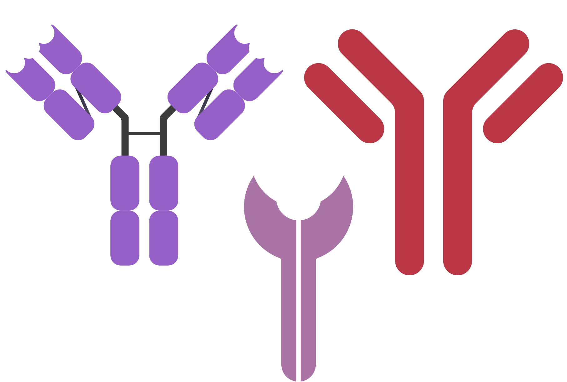 細胞相關素材(圖31)