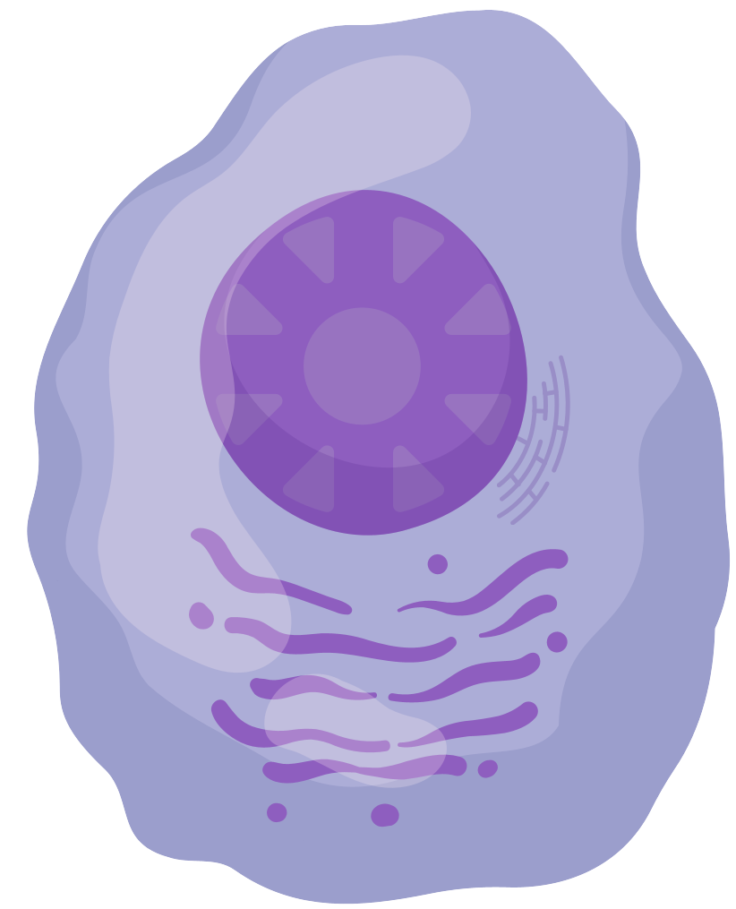 細胞相關素材(圖47)