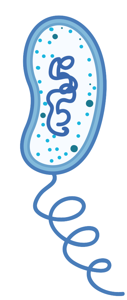細胞相關素材(圖8)