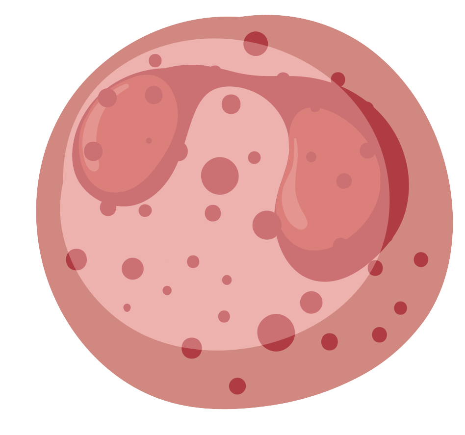 細胞相關素材(圖60)