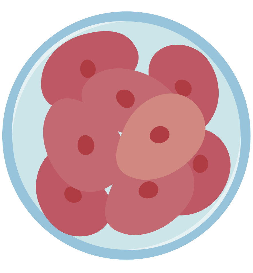 細胞相關素材(圖40)