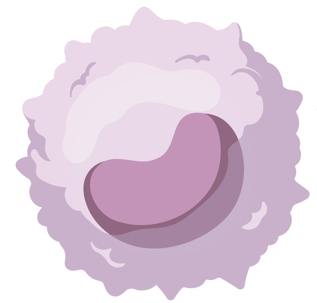 細胞相關素材(圖51)