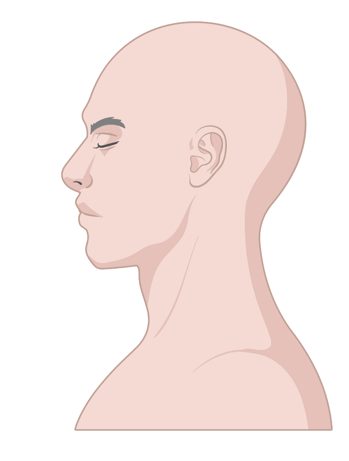 生化 環材相關素材(圖11)