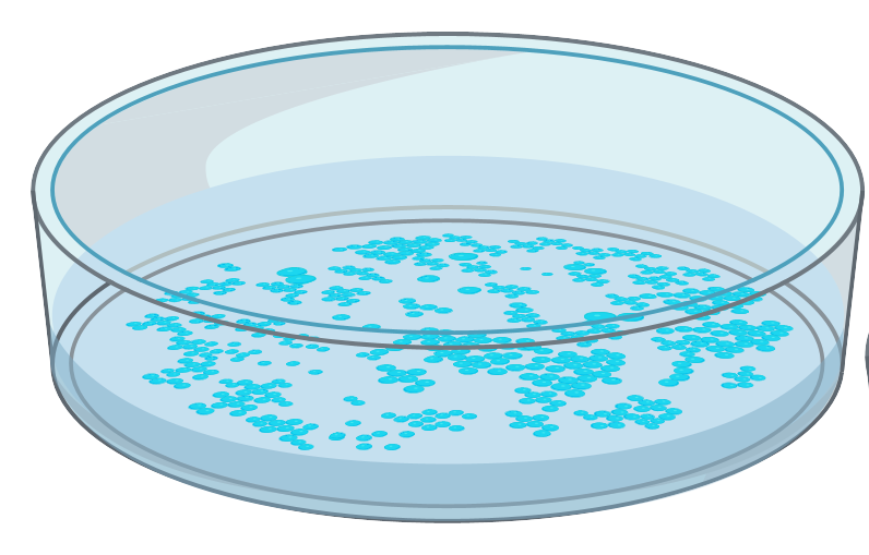 細胞相關素材(圖4)