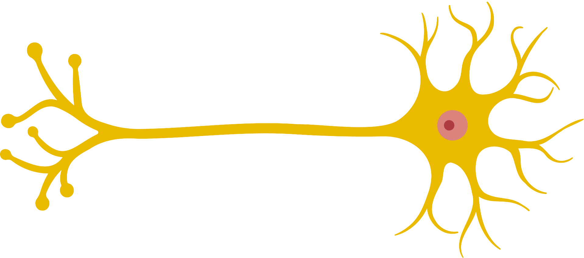 細胞相關素材(圖28)