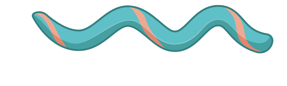 細胞相關素材(圖11)