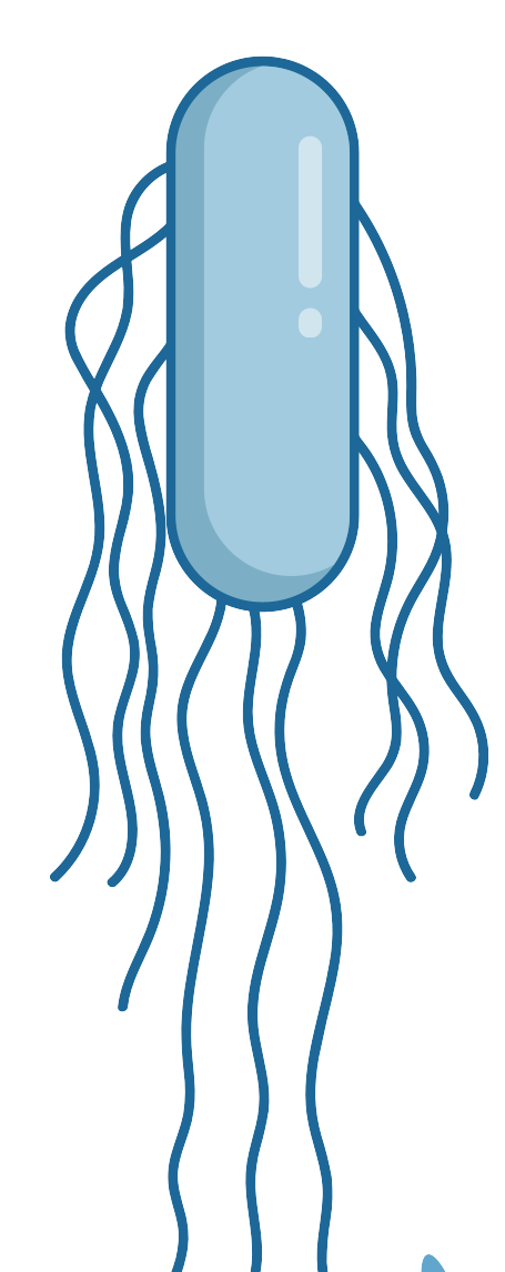 細胞相關素材(圖18)