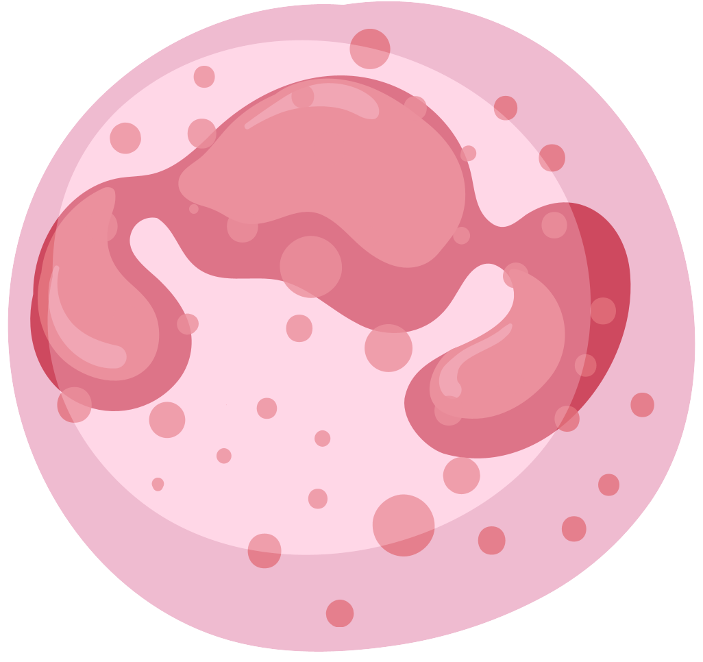 細胞相關素材(圖57)