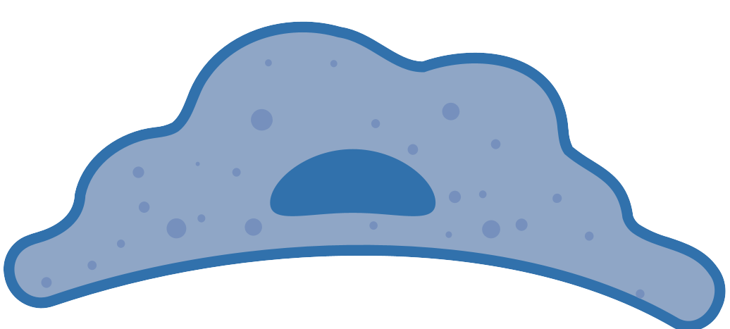 細胞相關素材(圖55)