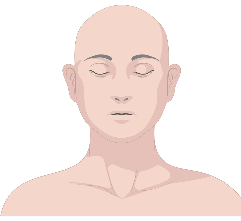 生化 環材相關素材(圖9)