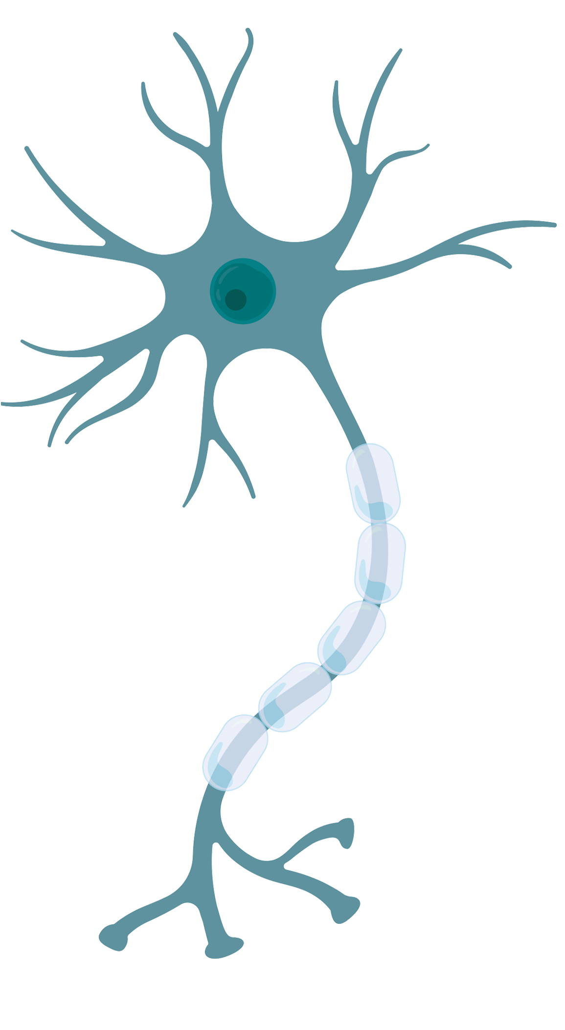 細胞相關素材(圖29)