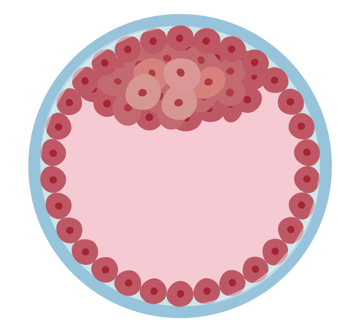 細胞相關素材(圖38)