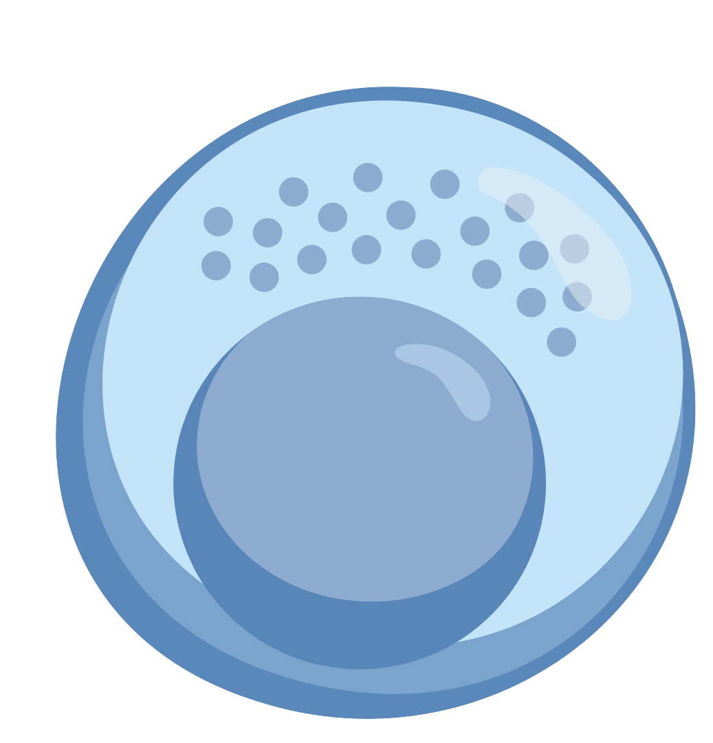 細胞相關素材(圖50)