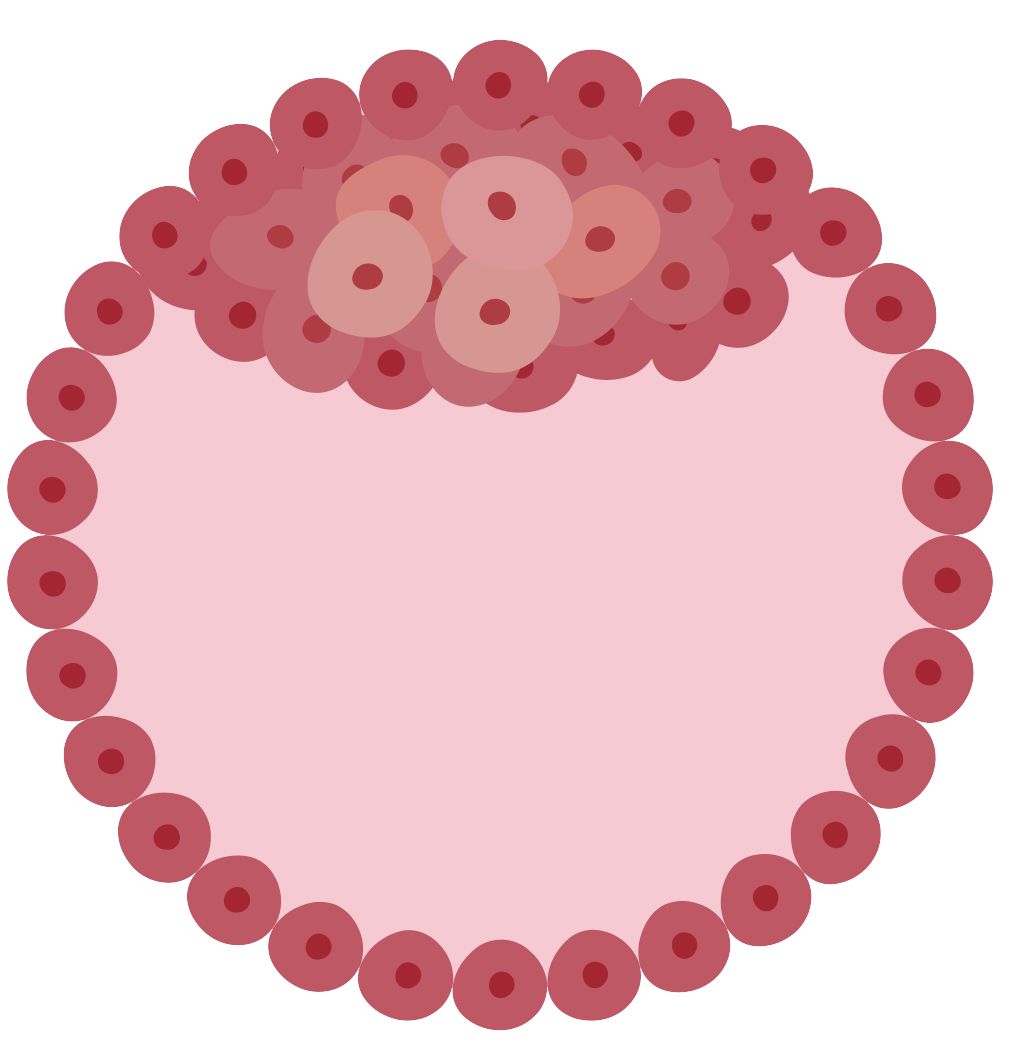 細胞相關素材(圖35)