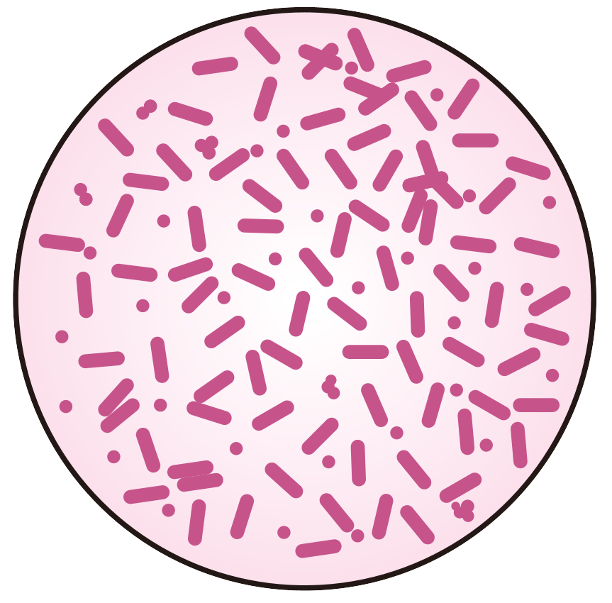 細胞相關素材(圖13)