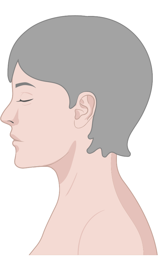 生化 環材相關素材(圖12)