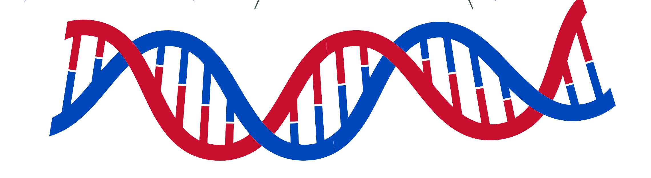 細胞相關素材(圖22)