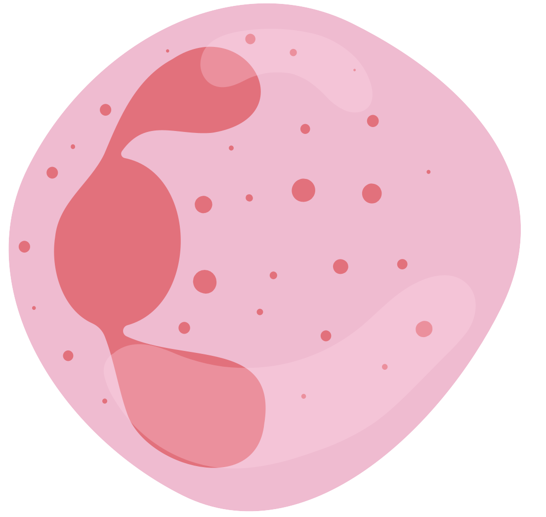 細胞相關素材(圖59)