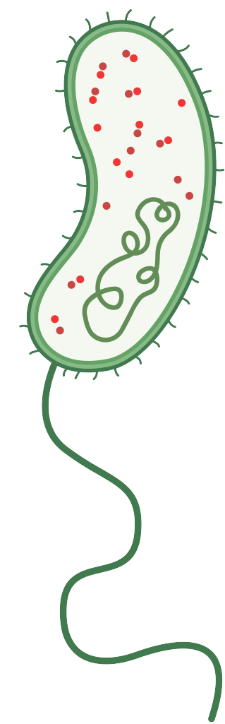 細胞相關素材(圖3)