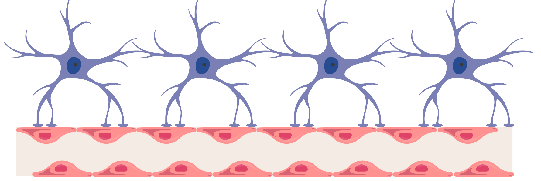 細胞相關素材(圖25)