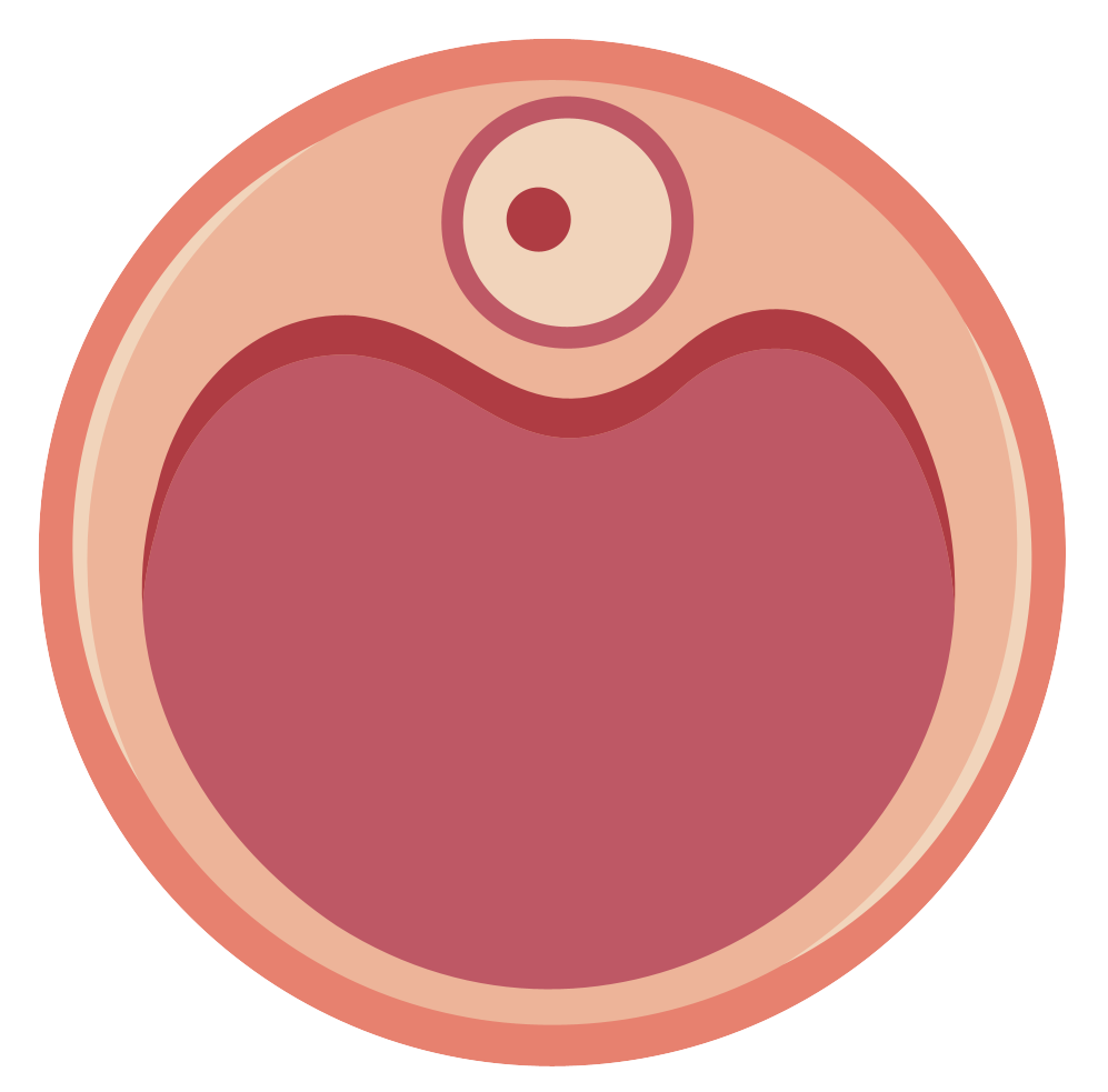 細胞相關素材(圖41)