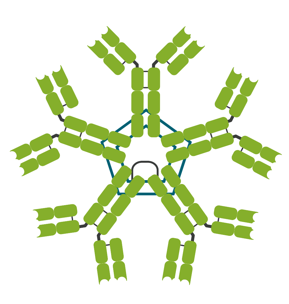 細胞相關素材(圖33)