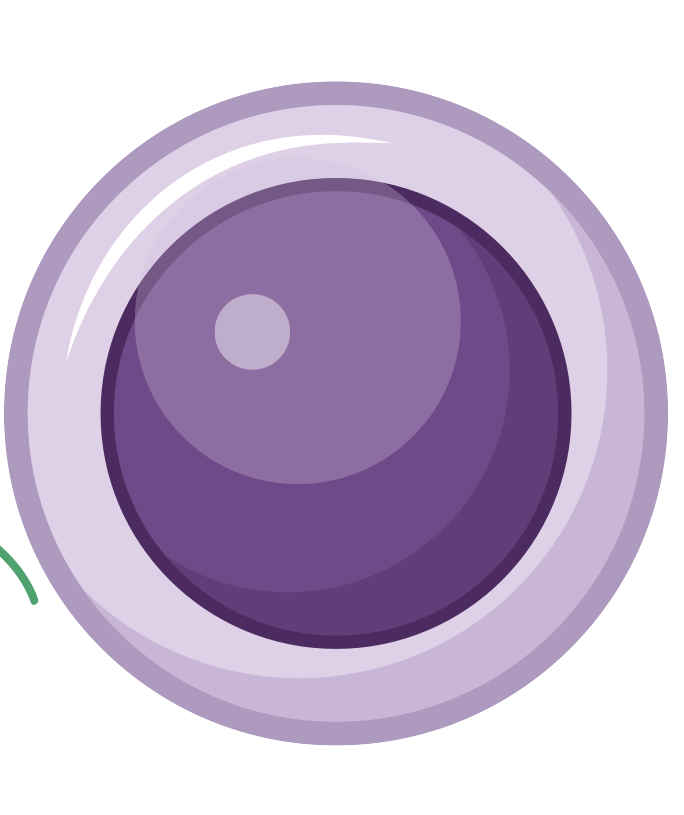 細胞相關素材(圖16)