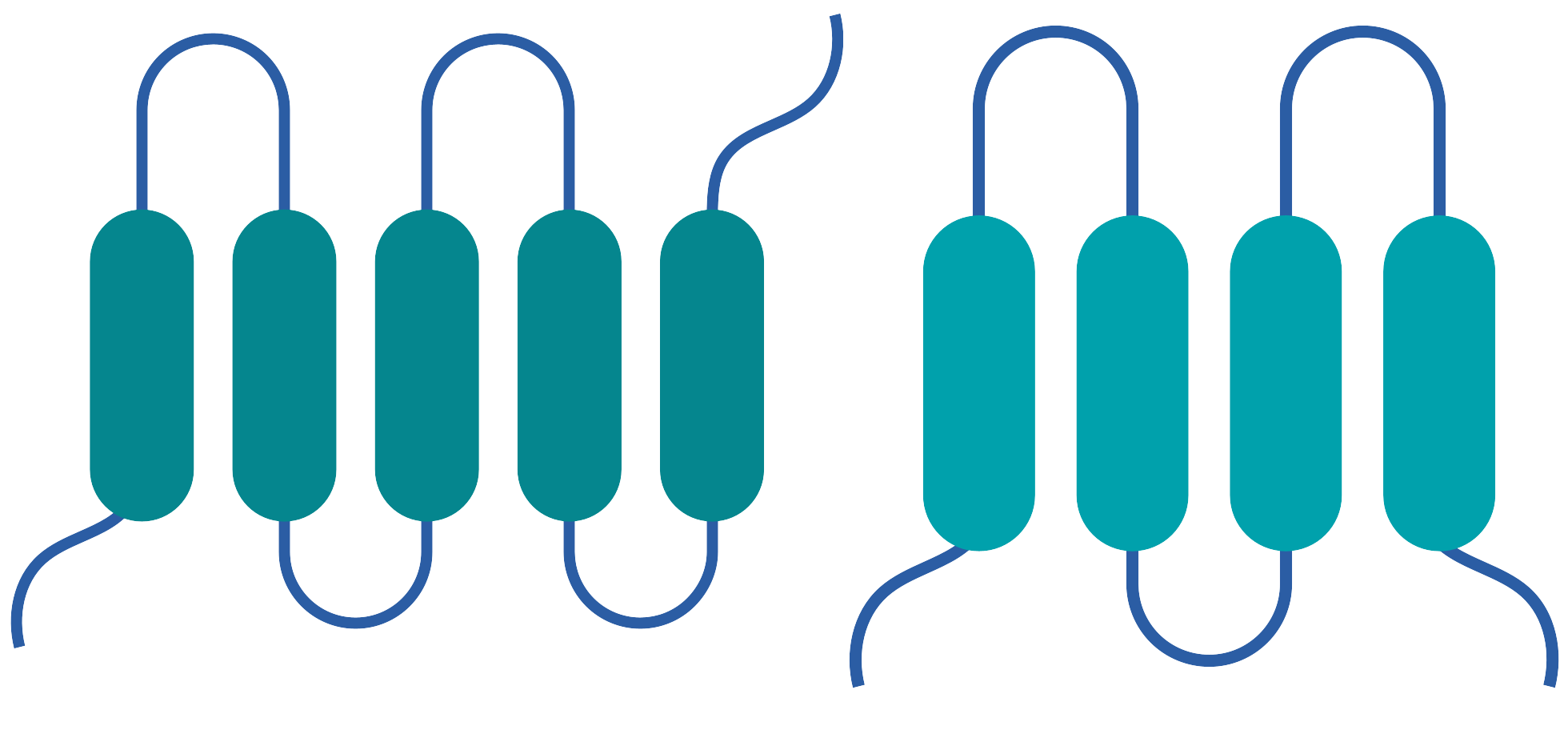 細胞相關素材(圖30)
