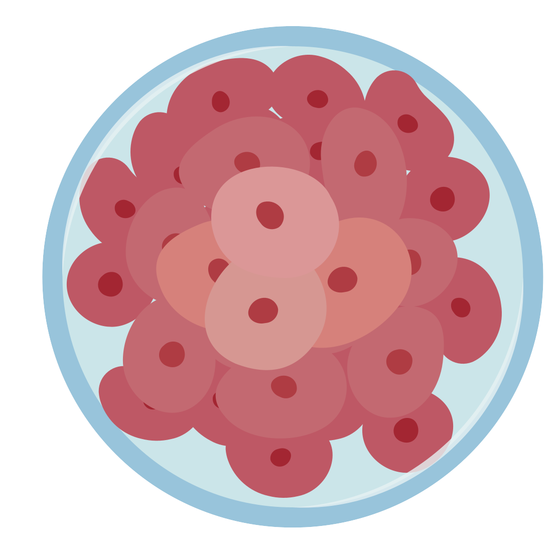 細胞相關素材(圖36)